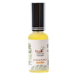 Splash Citrus Punch